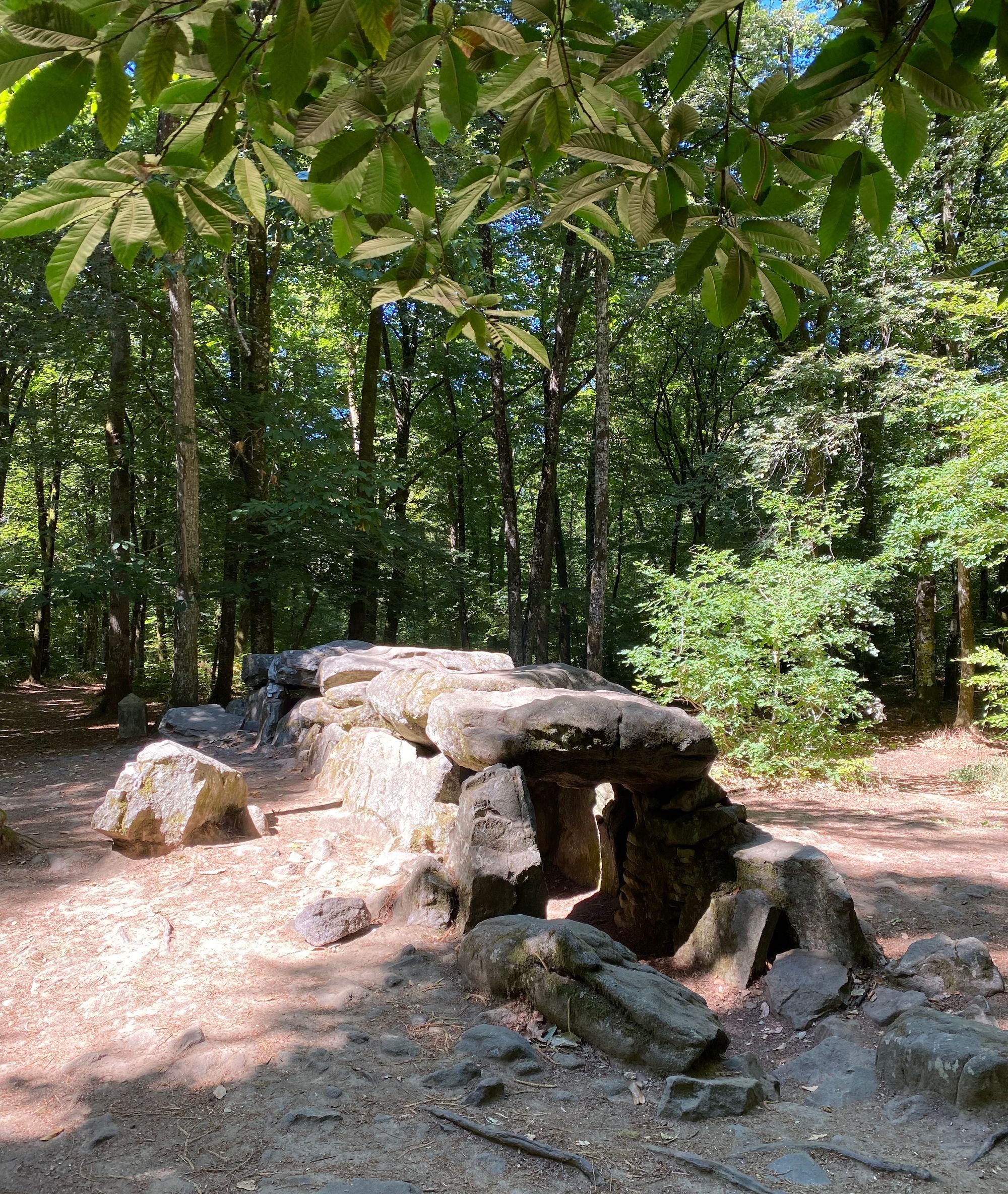 11. Visiting the Stone Age